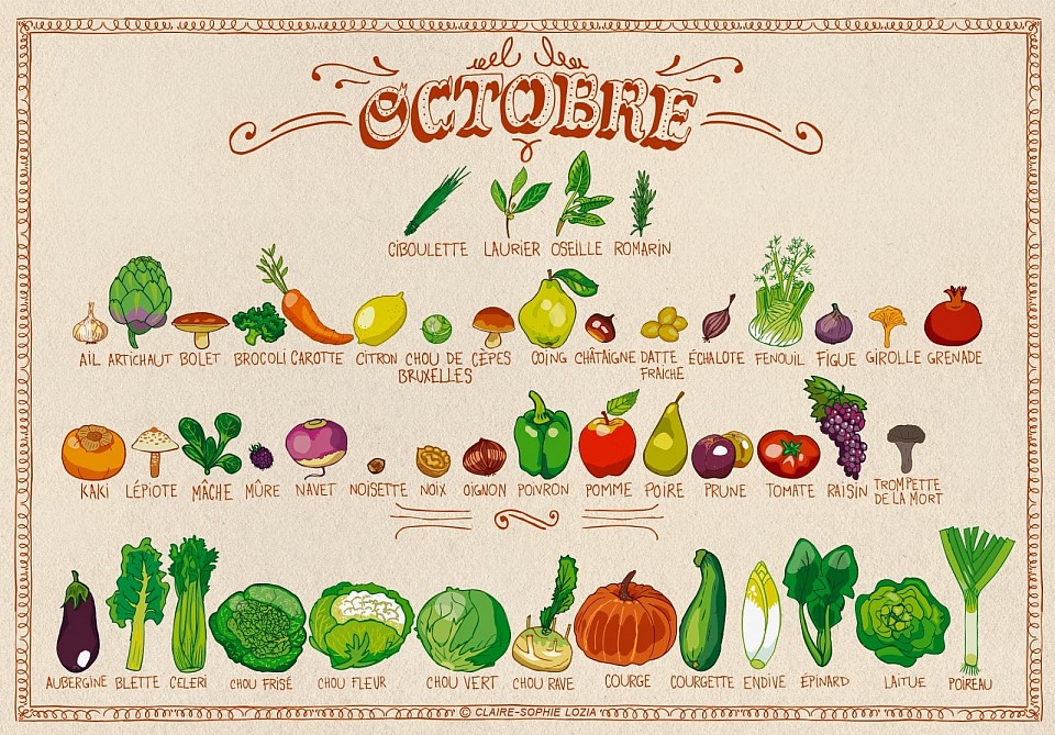 Les fruits et légumes de saison