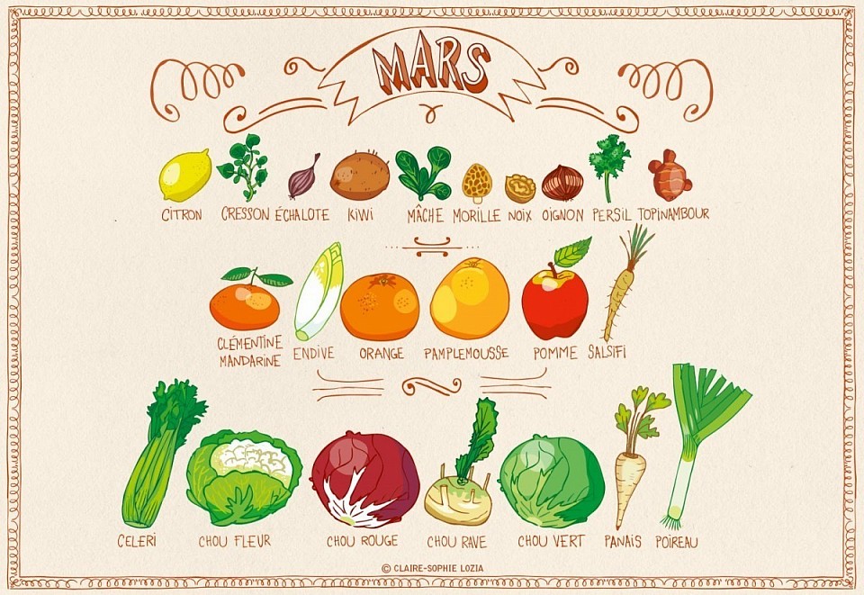 Les fruits et Légumes de saison (03)