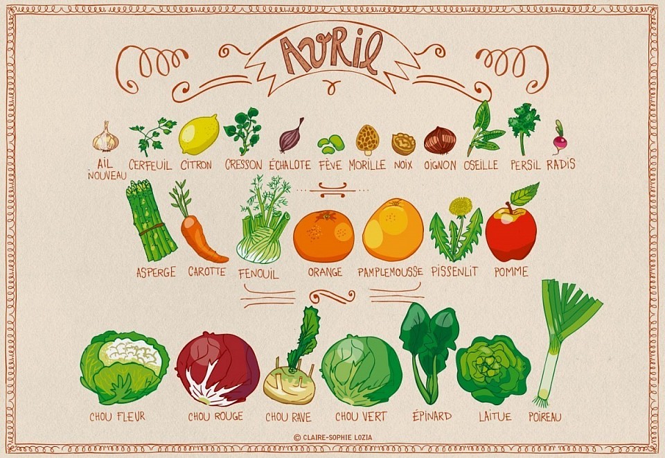 Les fruits et légumes de saison (04)