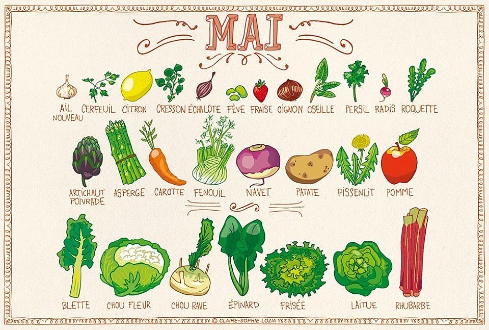 Les fruits et légumes de saison (05)