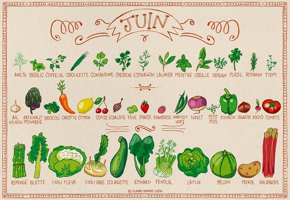 Les fruits et légumes de saison (06)