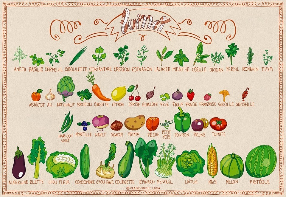 Les fruits et les légumes de saison (07)